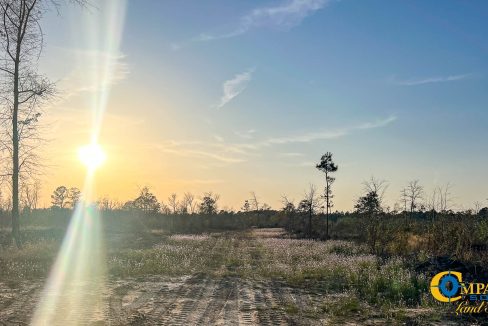 White Pond Ridge Estate SC Land for Sale-30