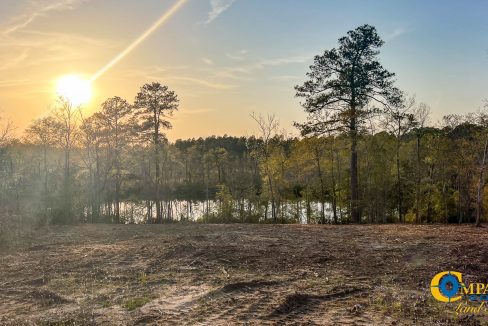 White Pond Ridge Estate SC Land for Sale-31
