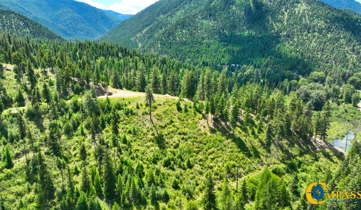 Saint Regis River Tract