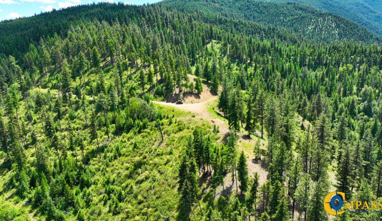 Saint Regis River Tract