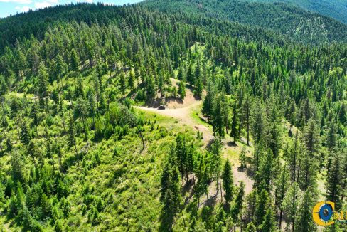 Saint Regis River Tract