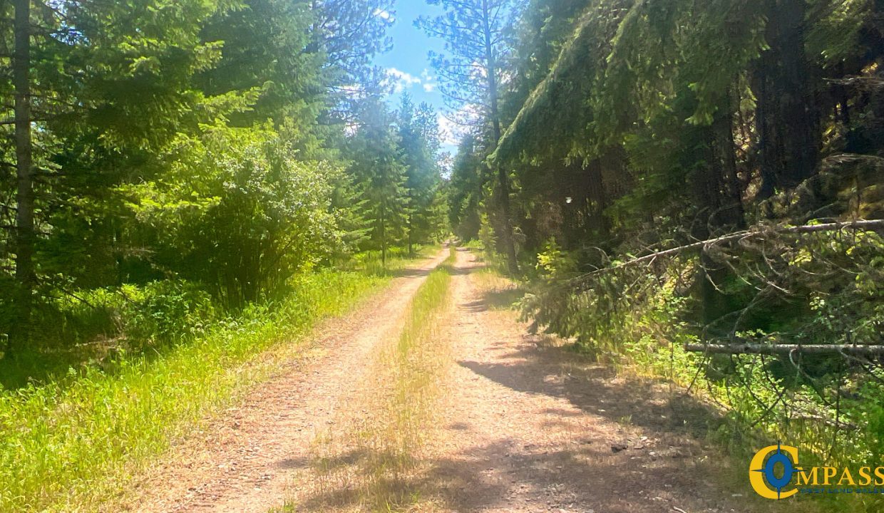 Saint Regis River Tract