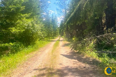 Saint Regis River Tract