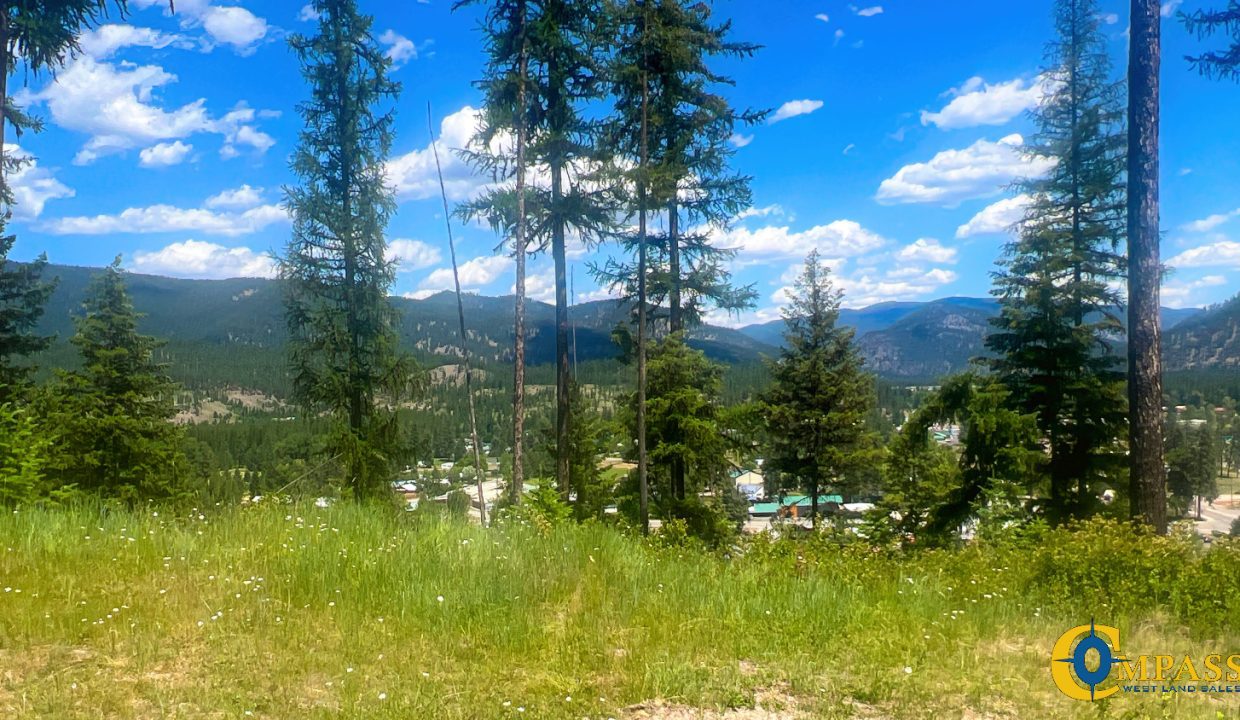 Saint Regis River Tract