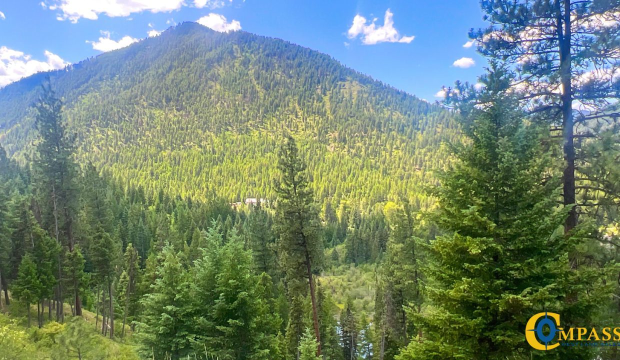 Saint Regis River Tract