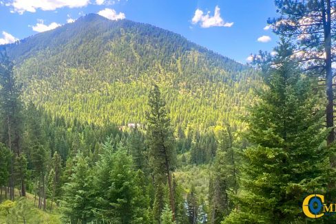 Saint Regis River Tract