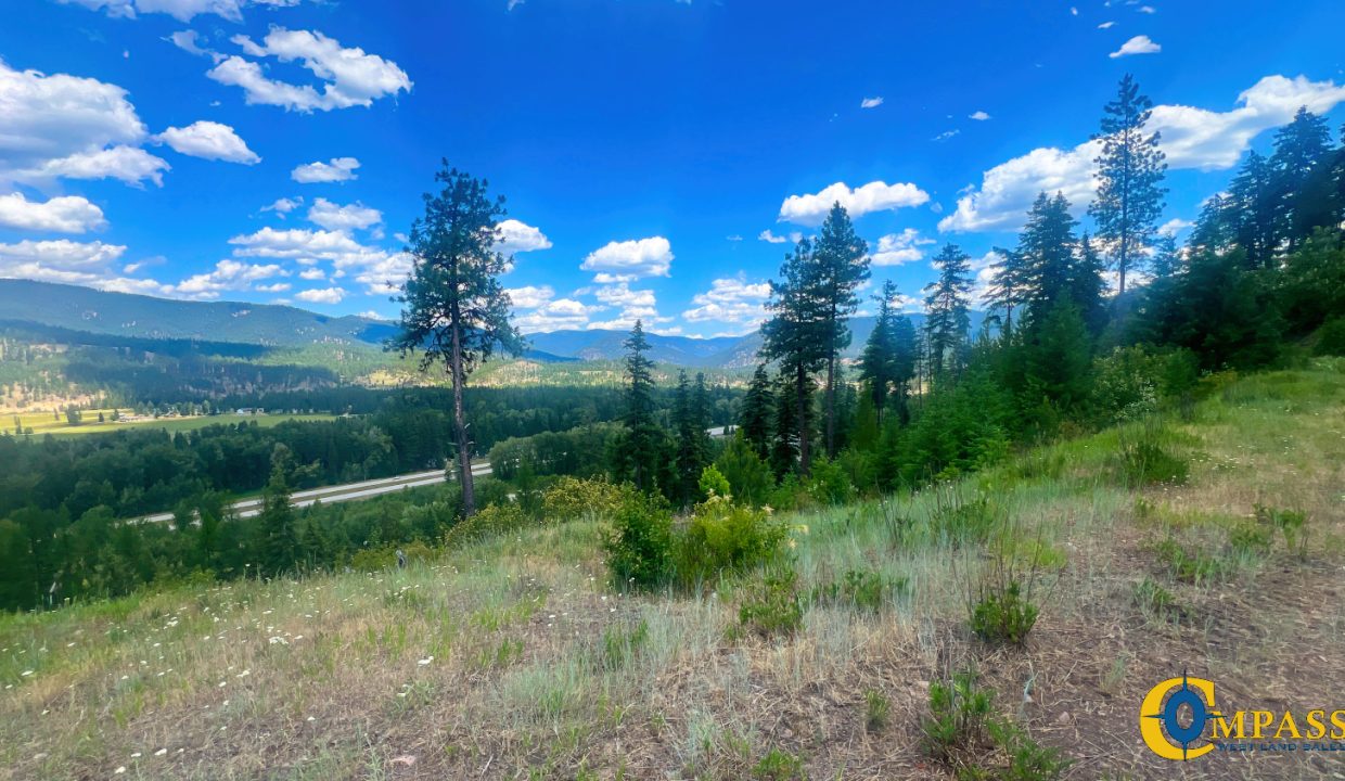 Saint Regis River Tract