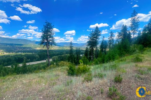 Saint Regis River Tract