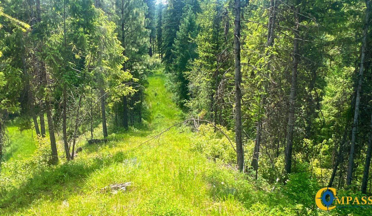 Saint Regis River Tract