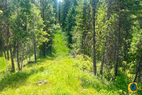 Saint Regis River Tract