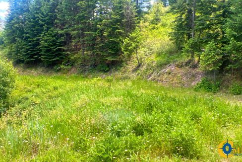 Saint Regis River Tract