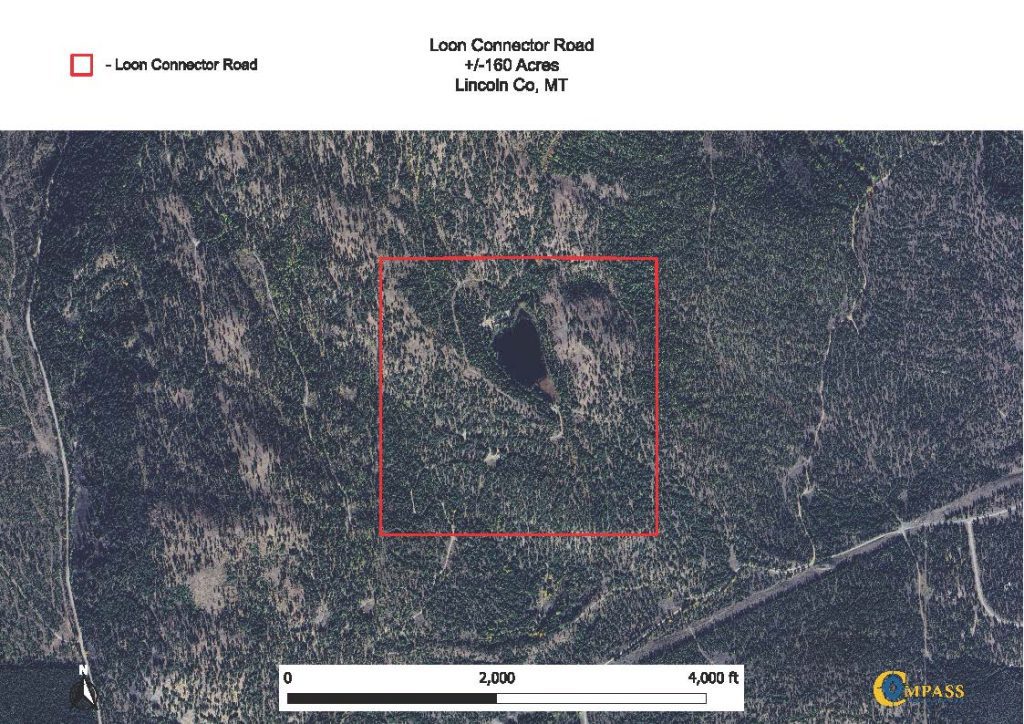 Loon Connector Road Aerial