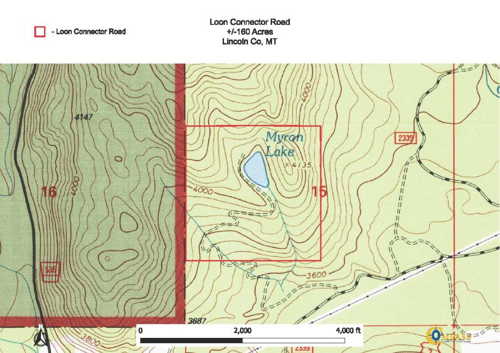Loon Connector Road Topo