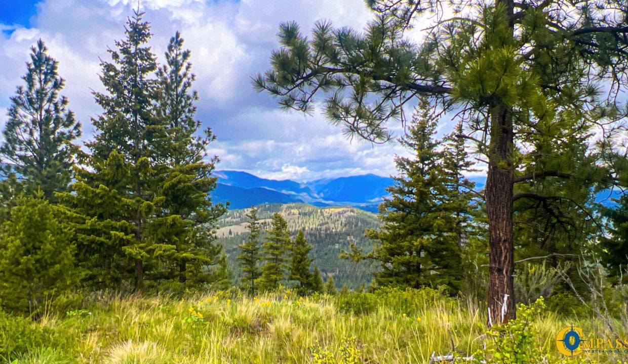 Pats Knob Hunting Ranch (19)
