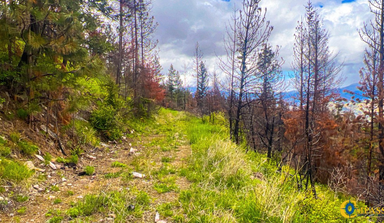 Pats Knob Hunting Ranch (22)