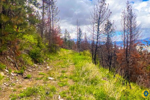 Pats Knob Hunting Ranch (22)