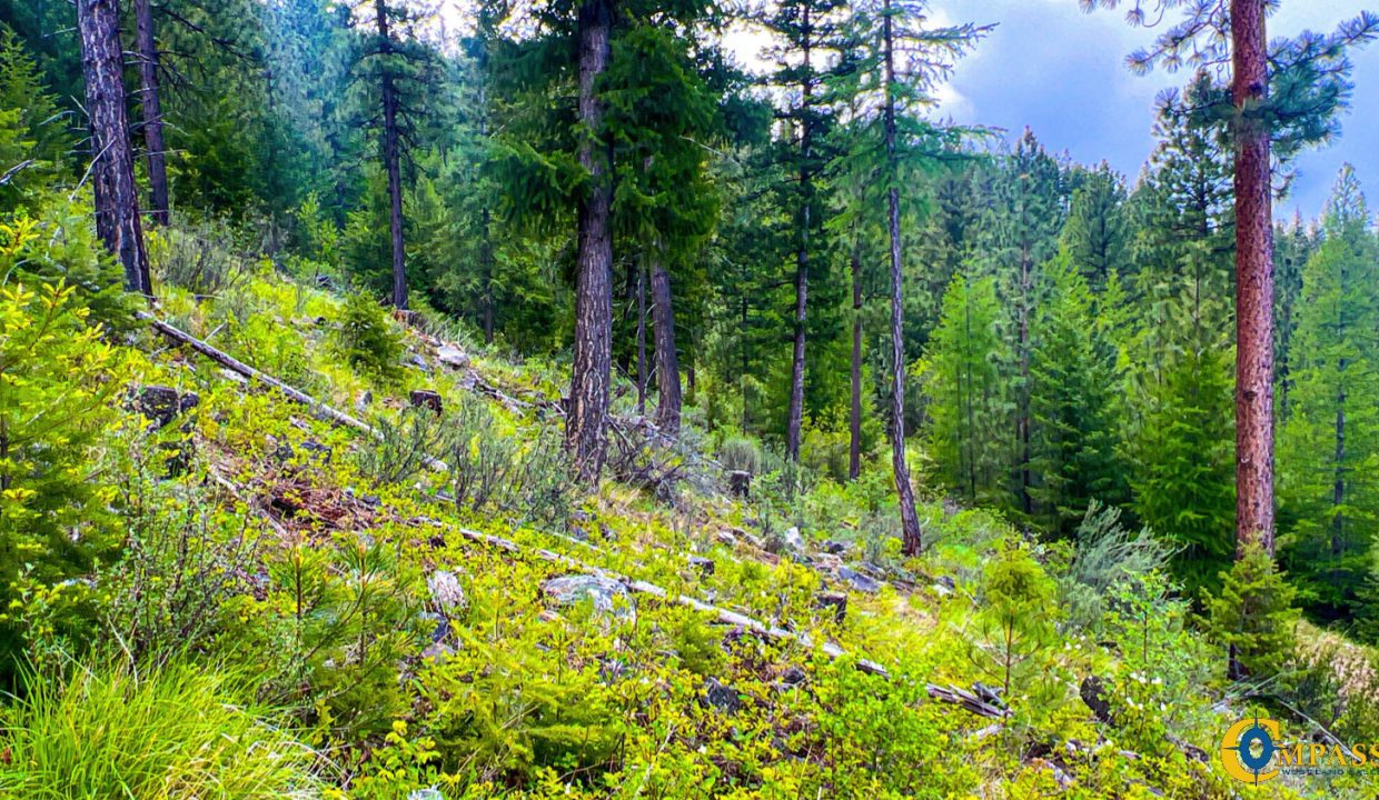 Pats Knob Hunting Ranch (23)