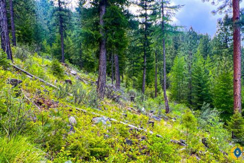 Pats Knob Hunting Ranch (23)