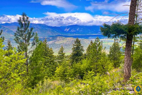Pats Knob Hunting Ranch (24)