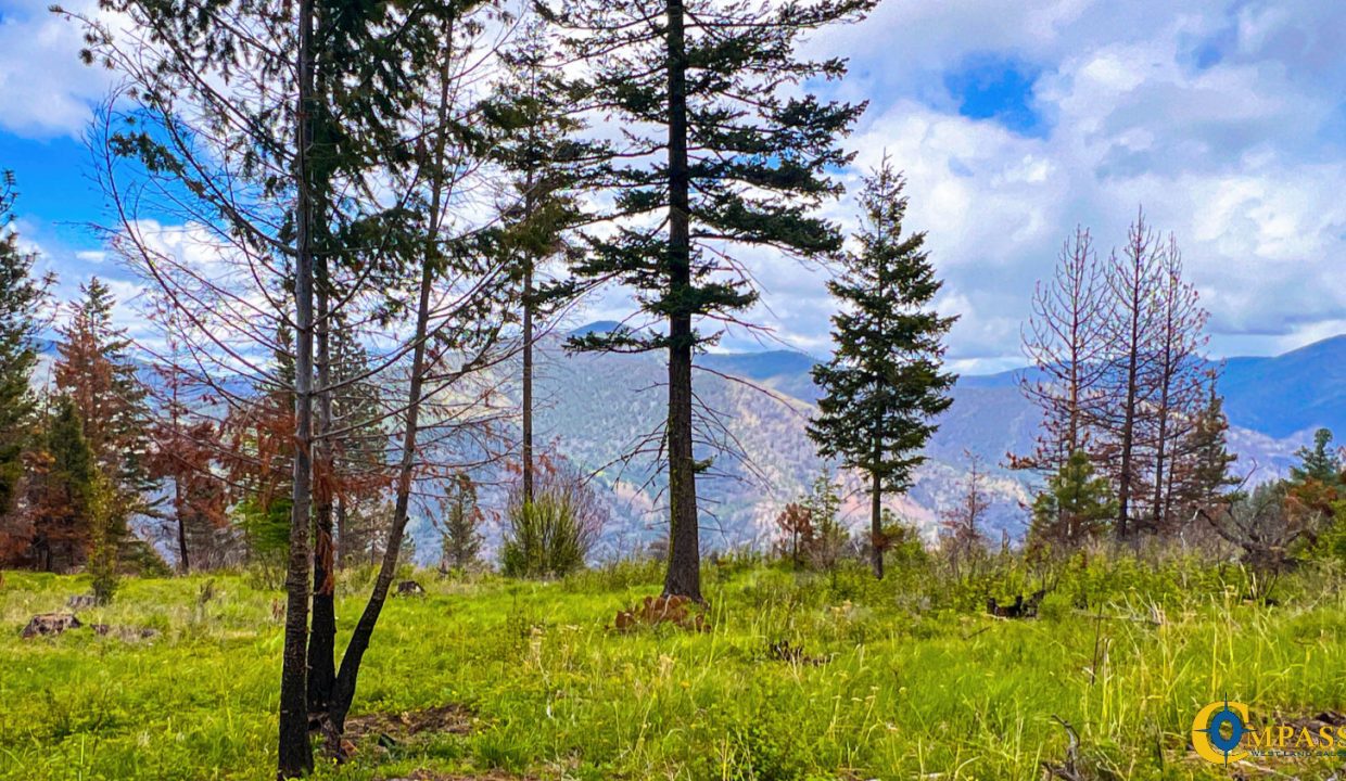 Pats Knob Hunting Ranch (25)