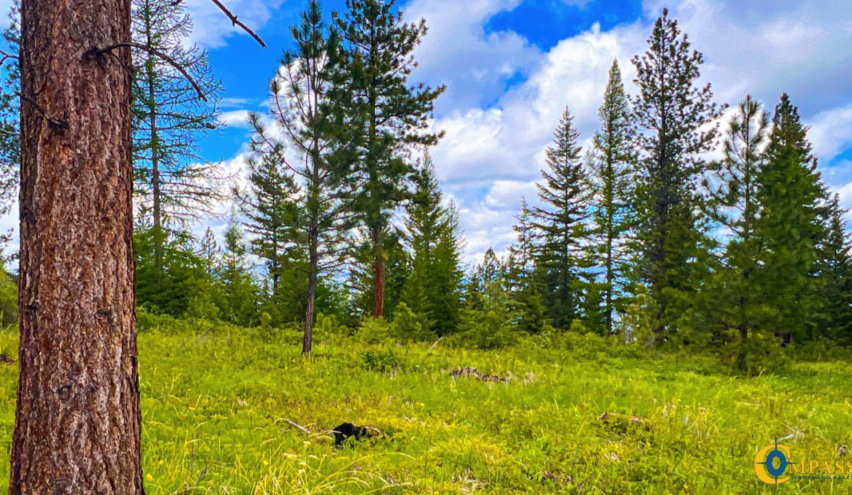 Pats Knob Hunting Ranch (26)