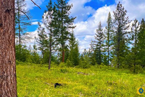 Pats Knob Hunting Ranch (26)