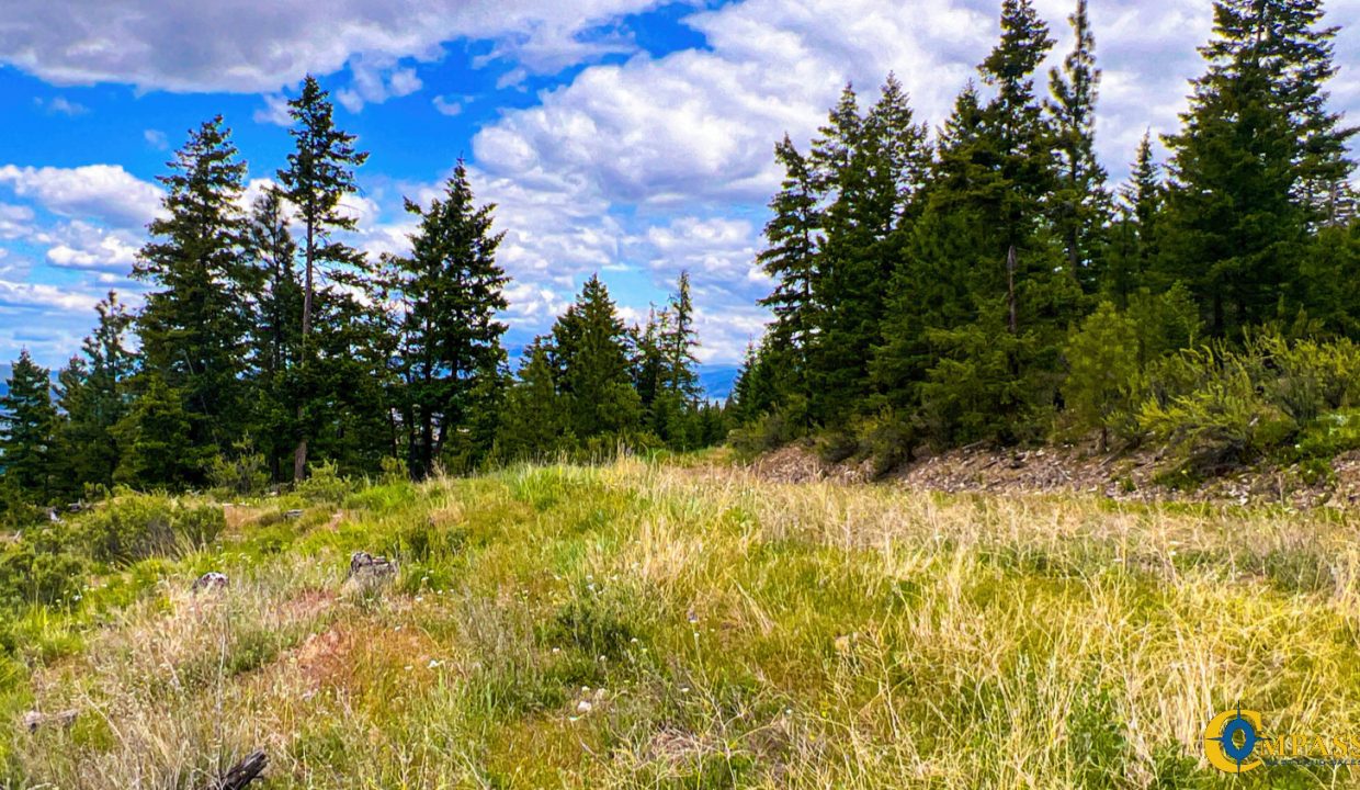 Pats Knob Hunting Ranch (27)