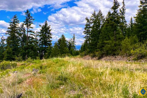 Pats Knob Hunting Ranch (27)
