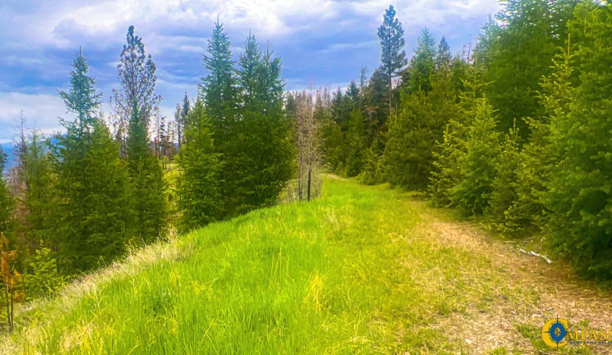 Pats Knob Hunting Ranch (28)