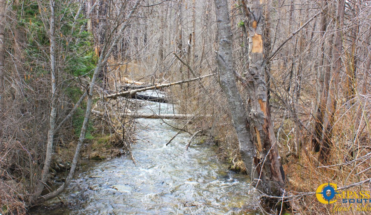 Swamp Creek (12)