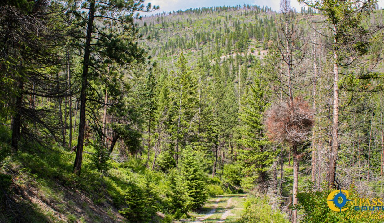 Swamp Creek (13)