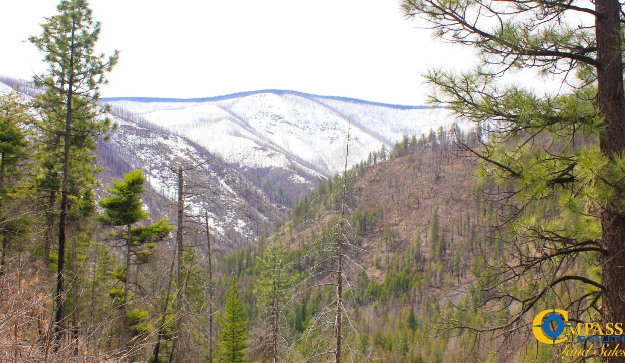 Swamp Creek (15)