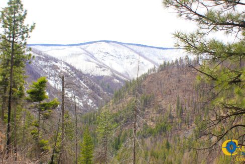 Swamp Creek (15)