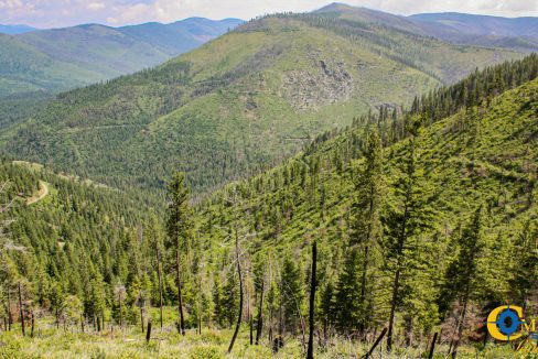 Swamp Creek (17)
