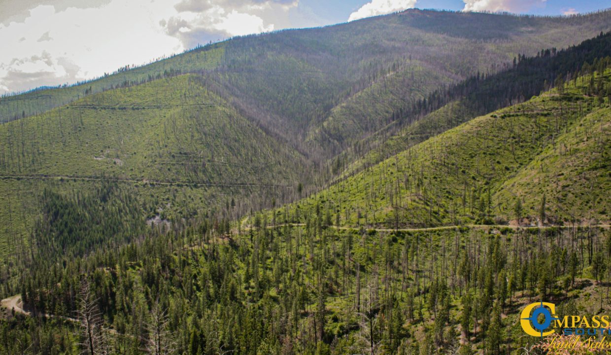Swamp Creek (18)