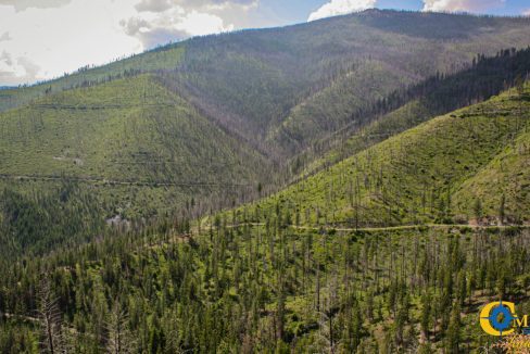 Swamp Creek (18)