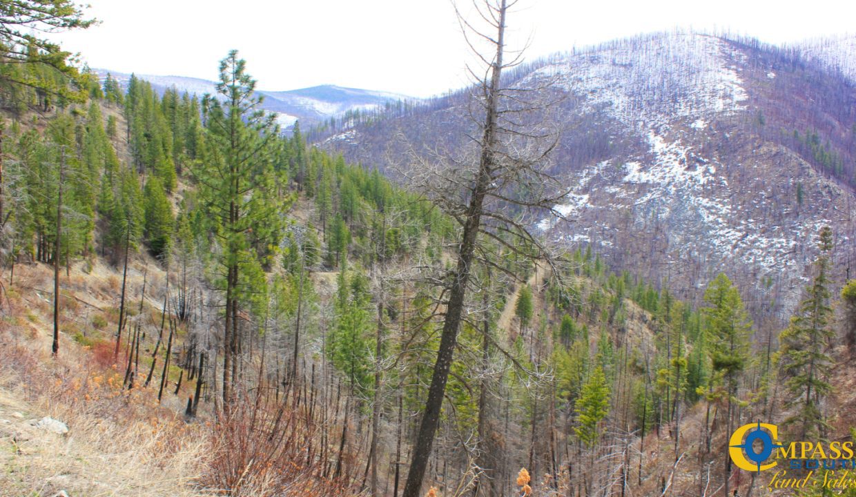Swamp Creek (2)