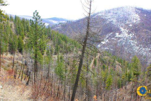 Swamp Creek (2)