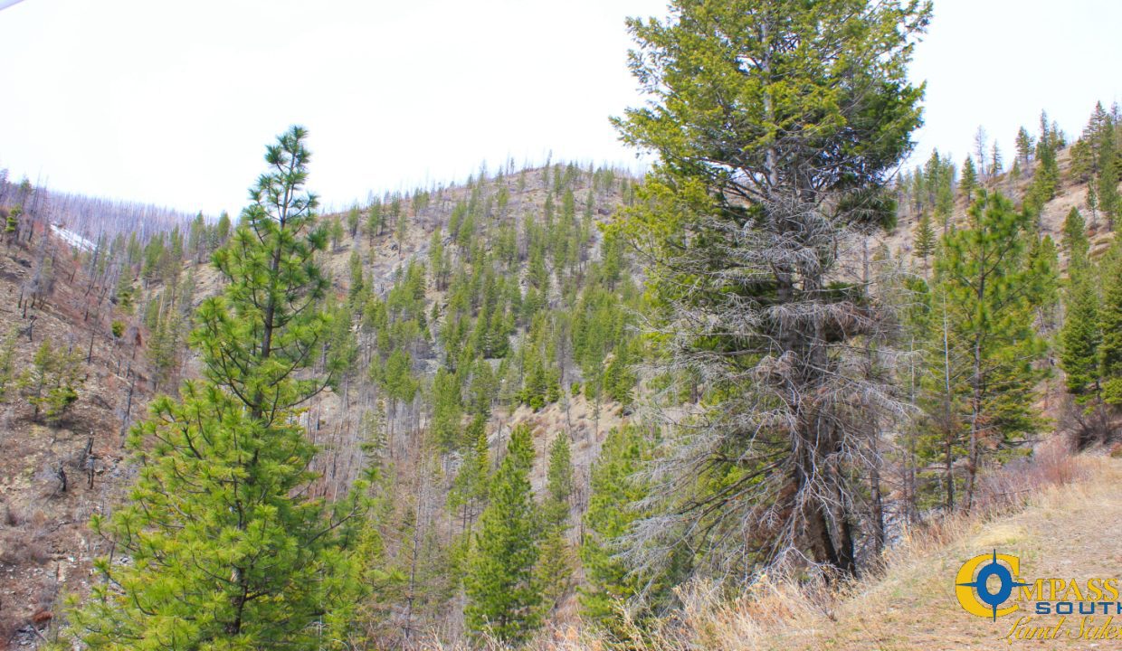 Swamp Creek (3)