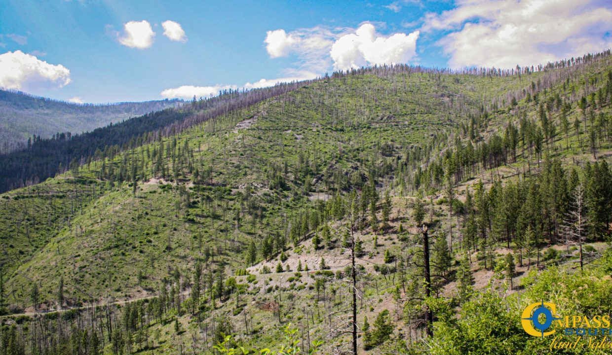 Swamp Creek (5)