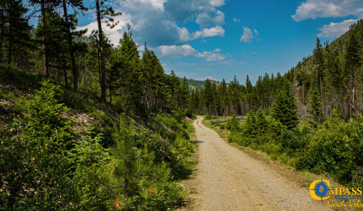 Swamp Creek (8)