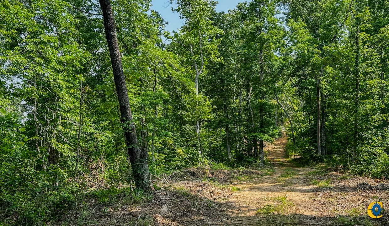 Cathey's Creek Compass South Land Sales-12