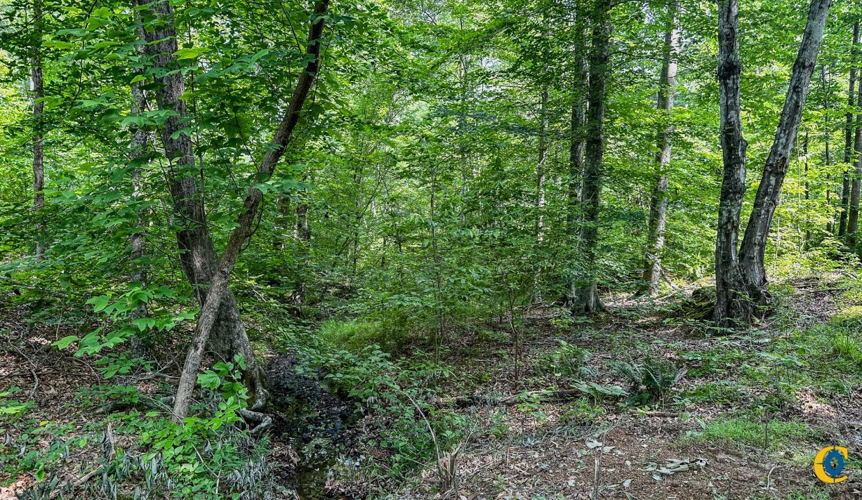 Cathey's Creek Compass South Land Sales-17