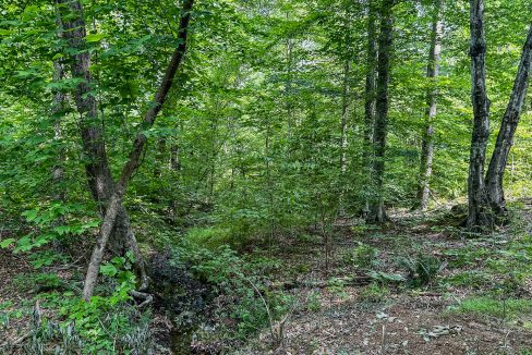 Cathey's Creek Compass South Land Sales-17