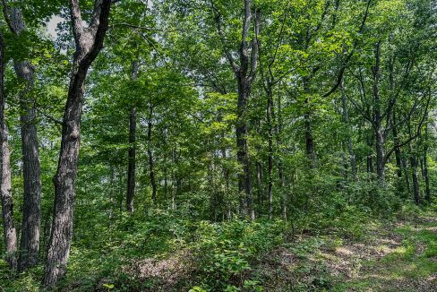 Cathey's Creek Compass South Land Sales-21