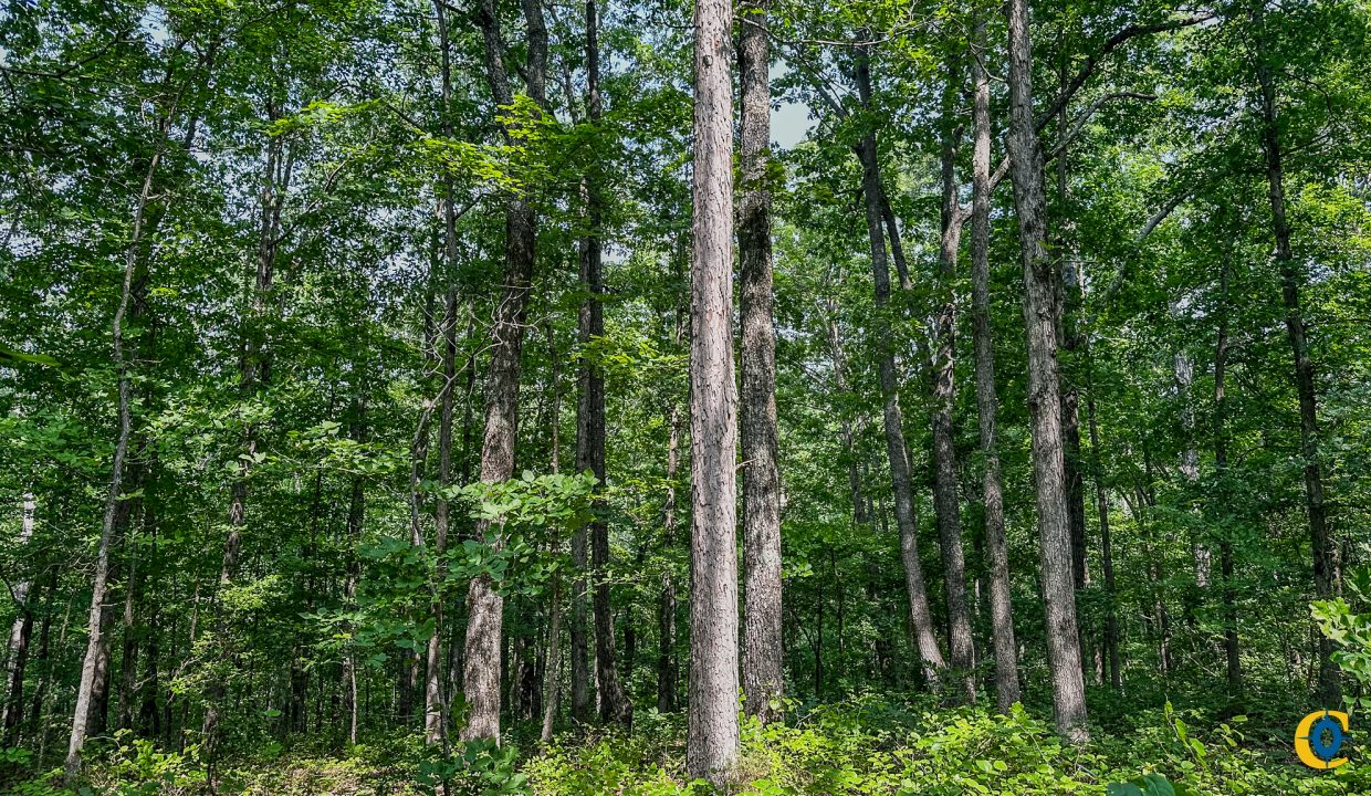 Cathey's Creek Compass South Land Sales-22