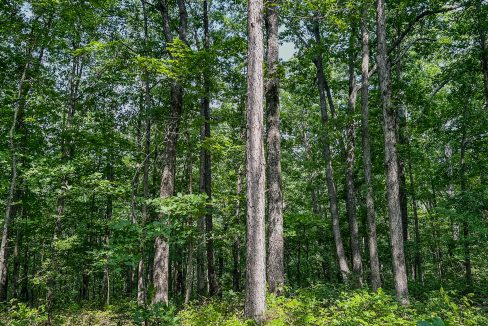 Cathey's Creek Compass South Land Sales-22