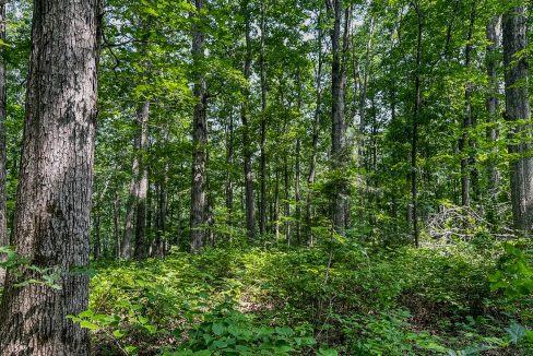 Cathey's Creek Compass South Land Sales-23