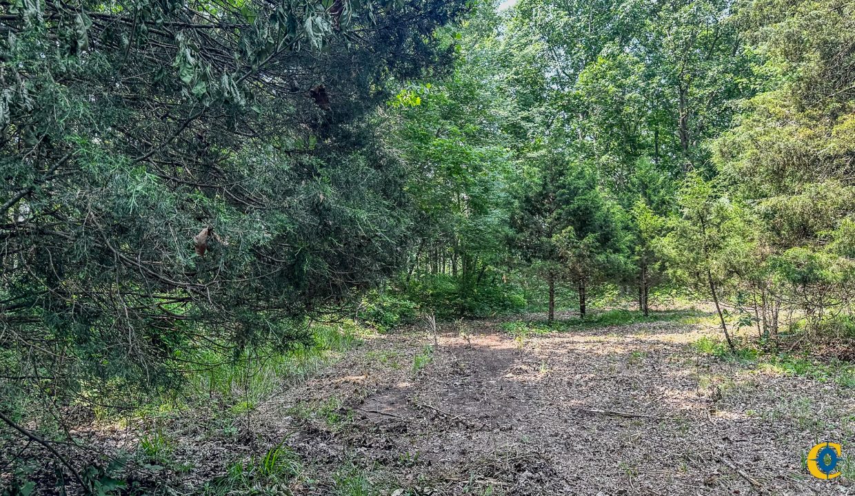 Cathey's Creek Compass South Land Sales-26