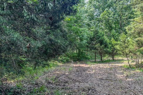 Cathey's Creek Compass South Land Sales-26
